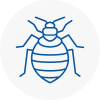 Bed Bug Extermination In Syston